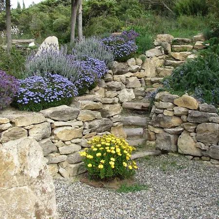 Stone